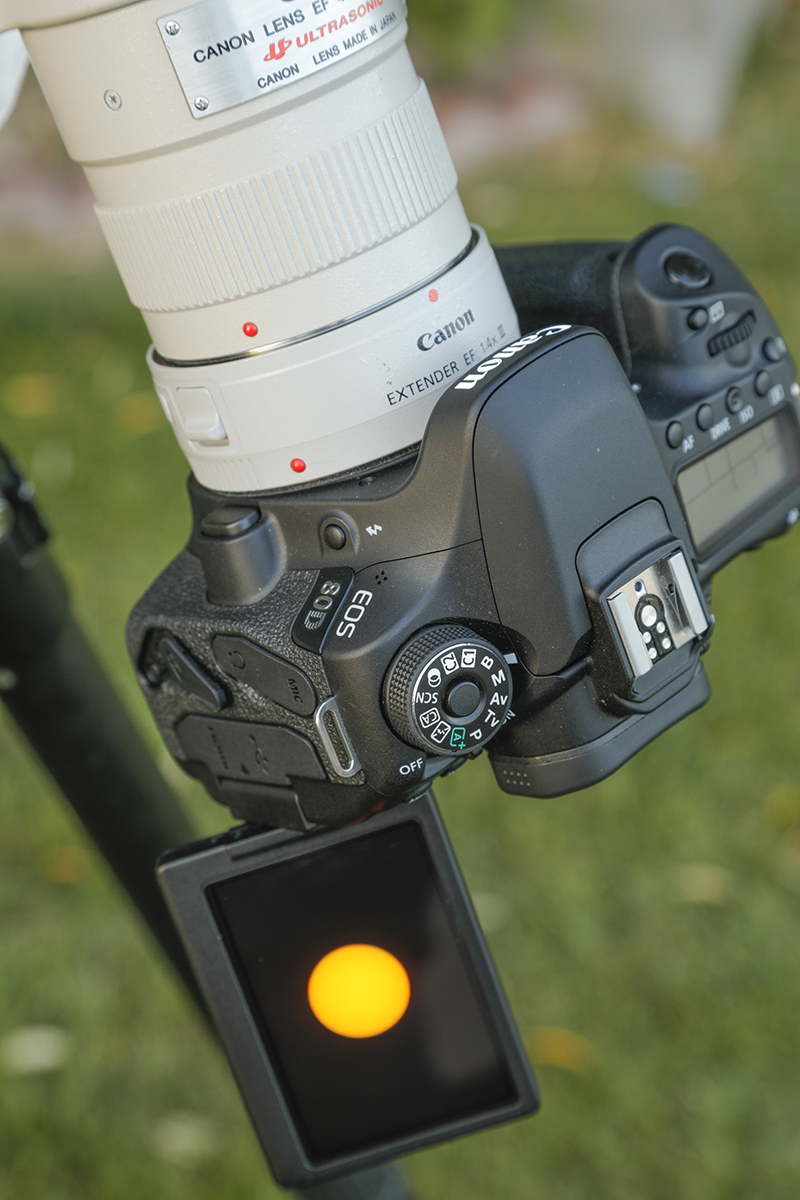 Digital Single Lense reflex Cameras