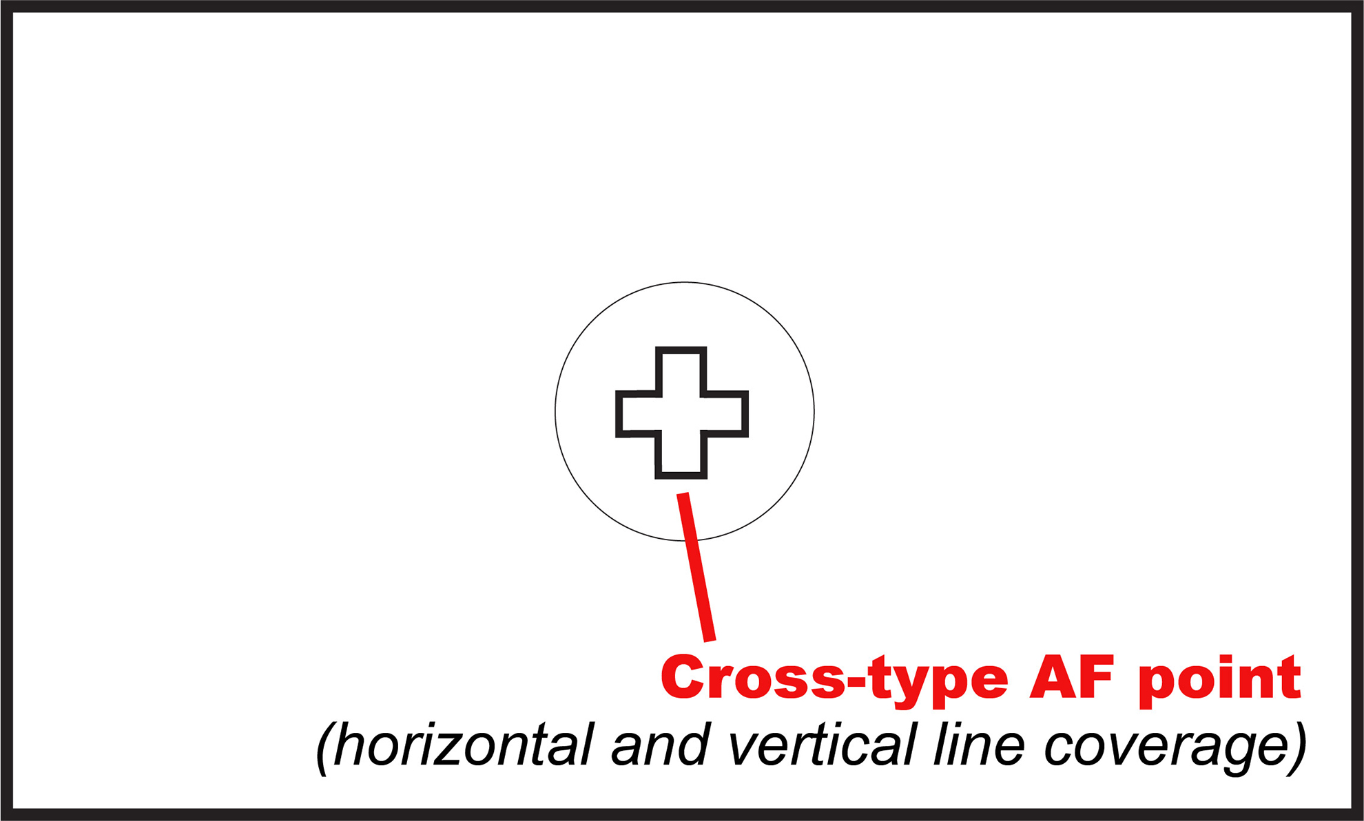 Cross-type AF point