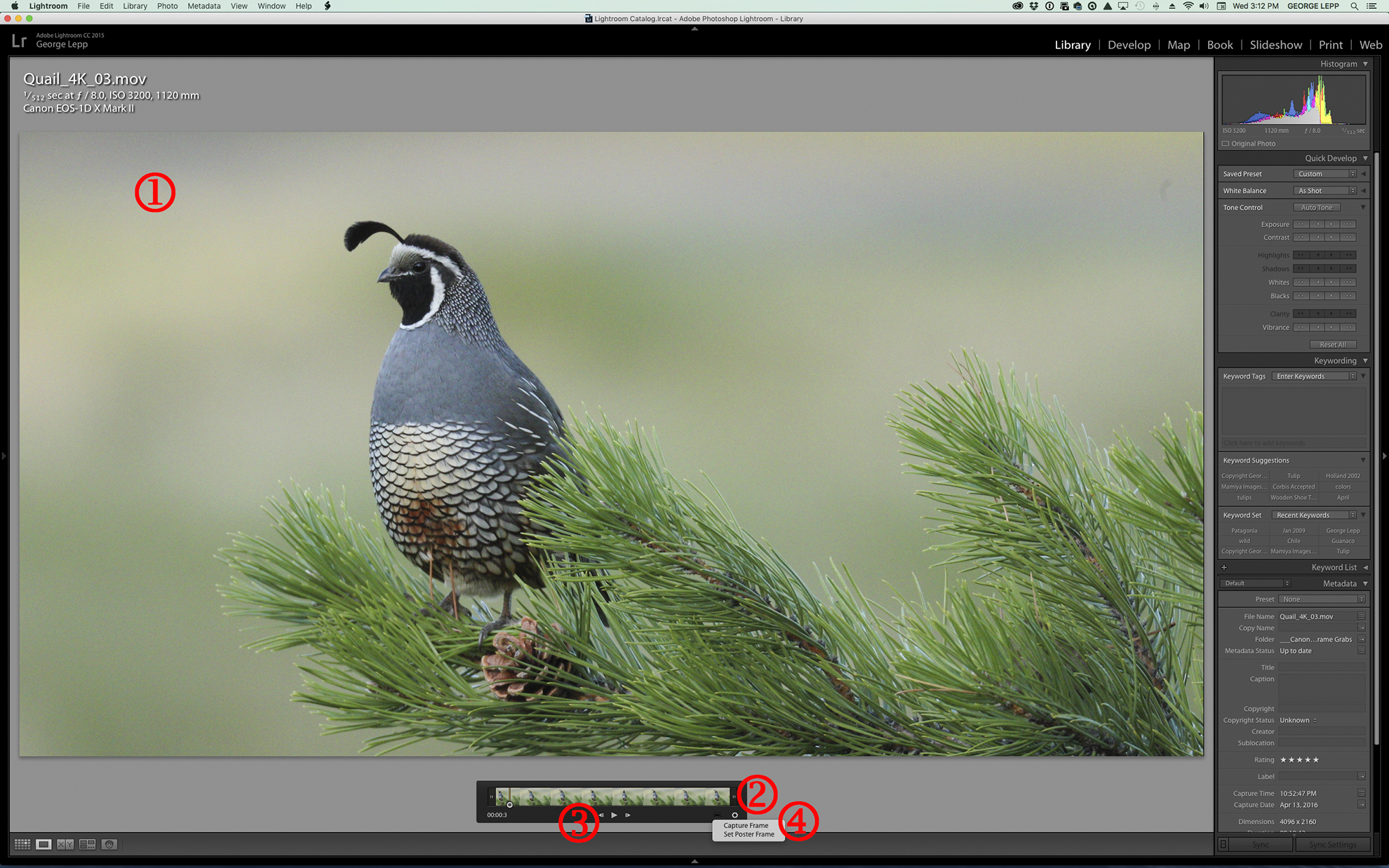 Canon U.S.A., Inc. Stills from Video 4K Frame Grabs