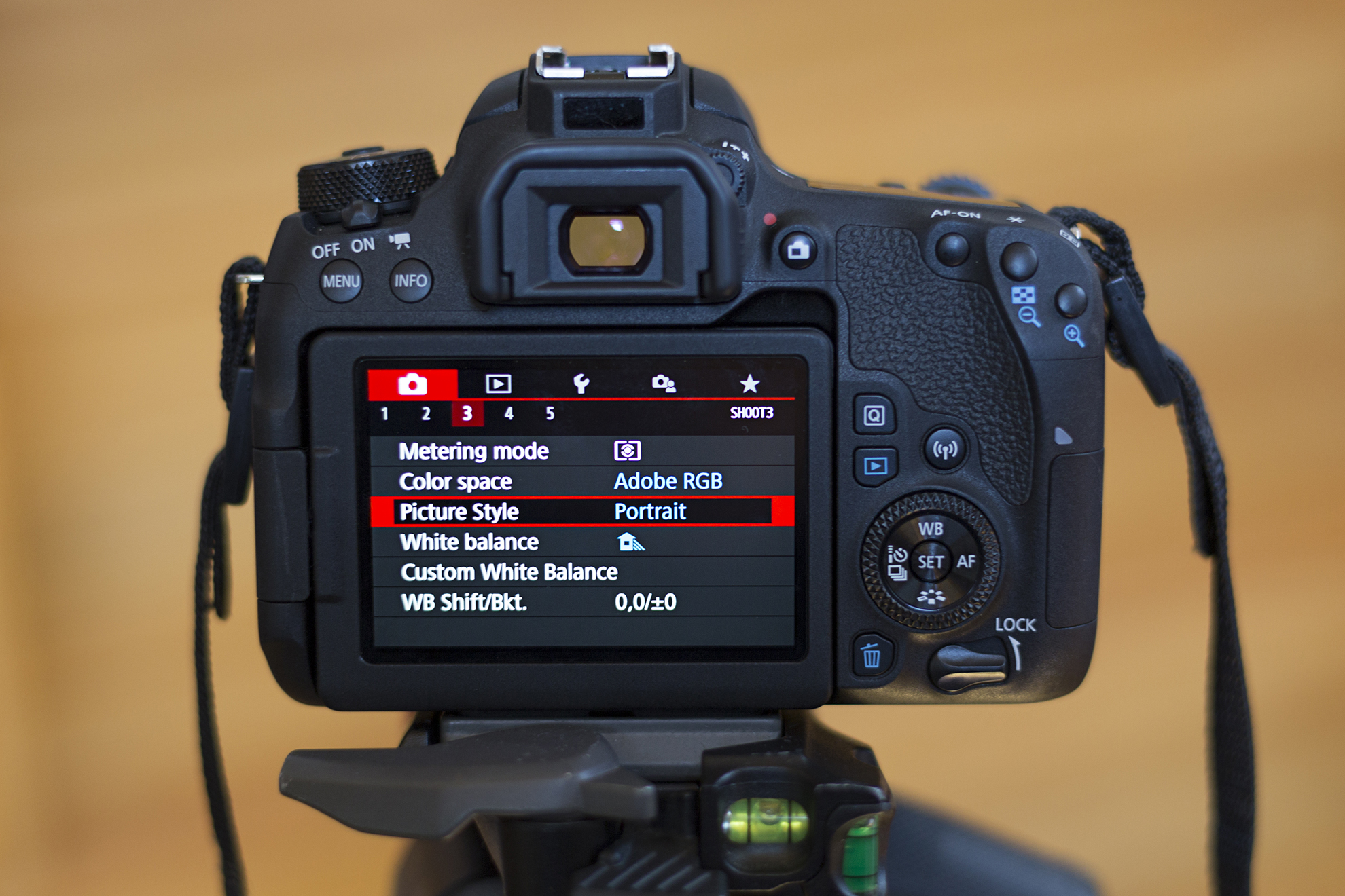 Photo of EOS 77D in picture style shooting mode
