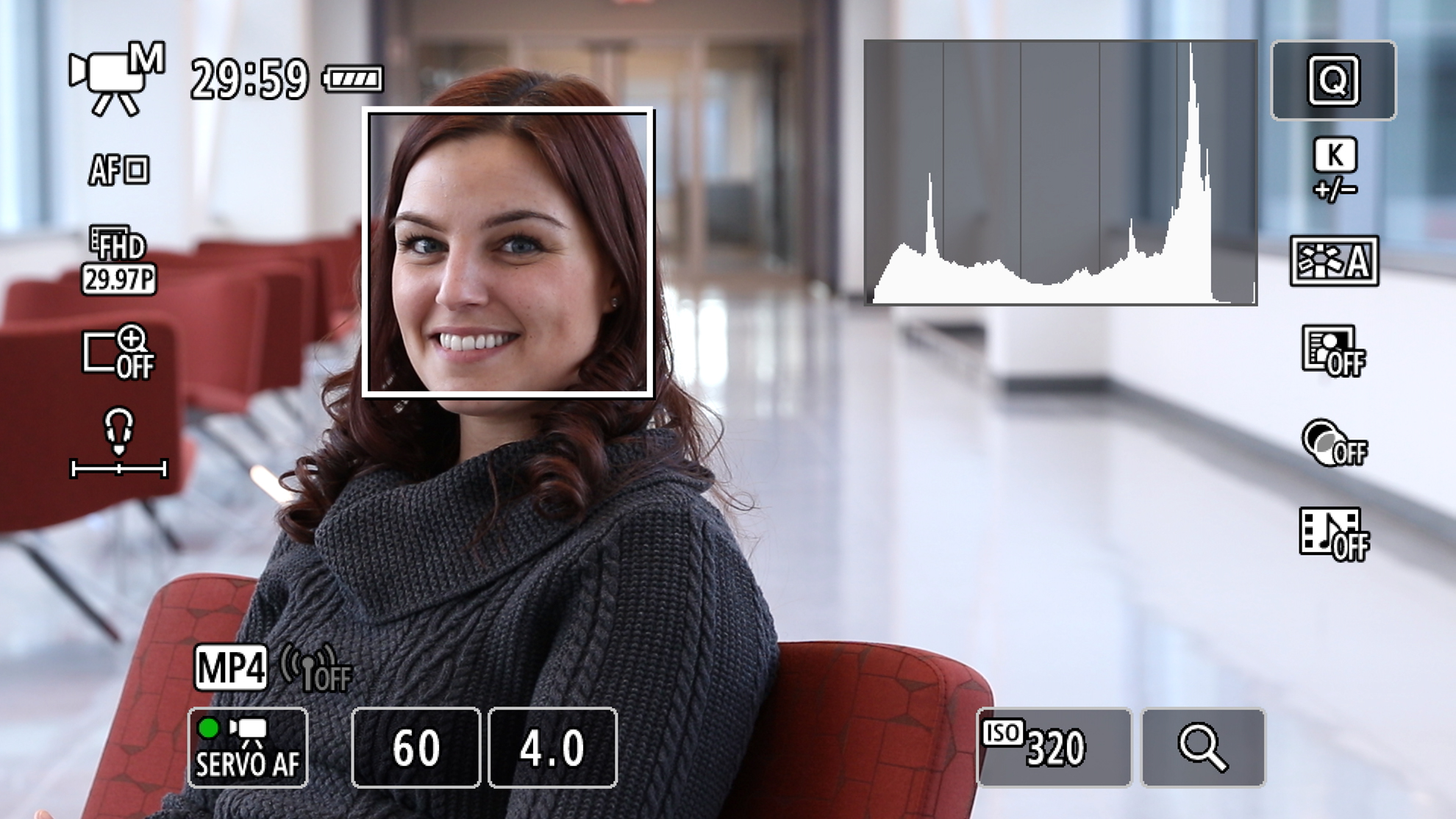 Canon U.S.A., Inc. Monitoring Exposure from Histograms to Waveforms