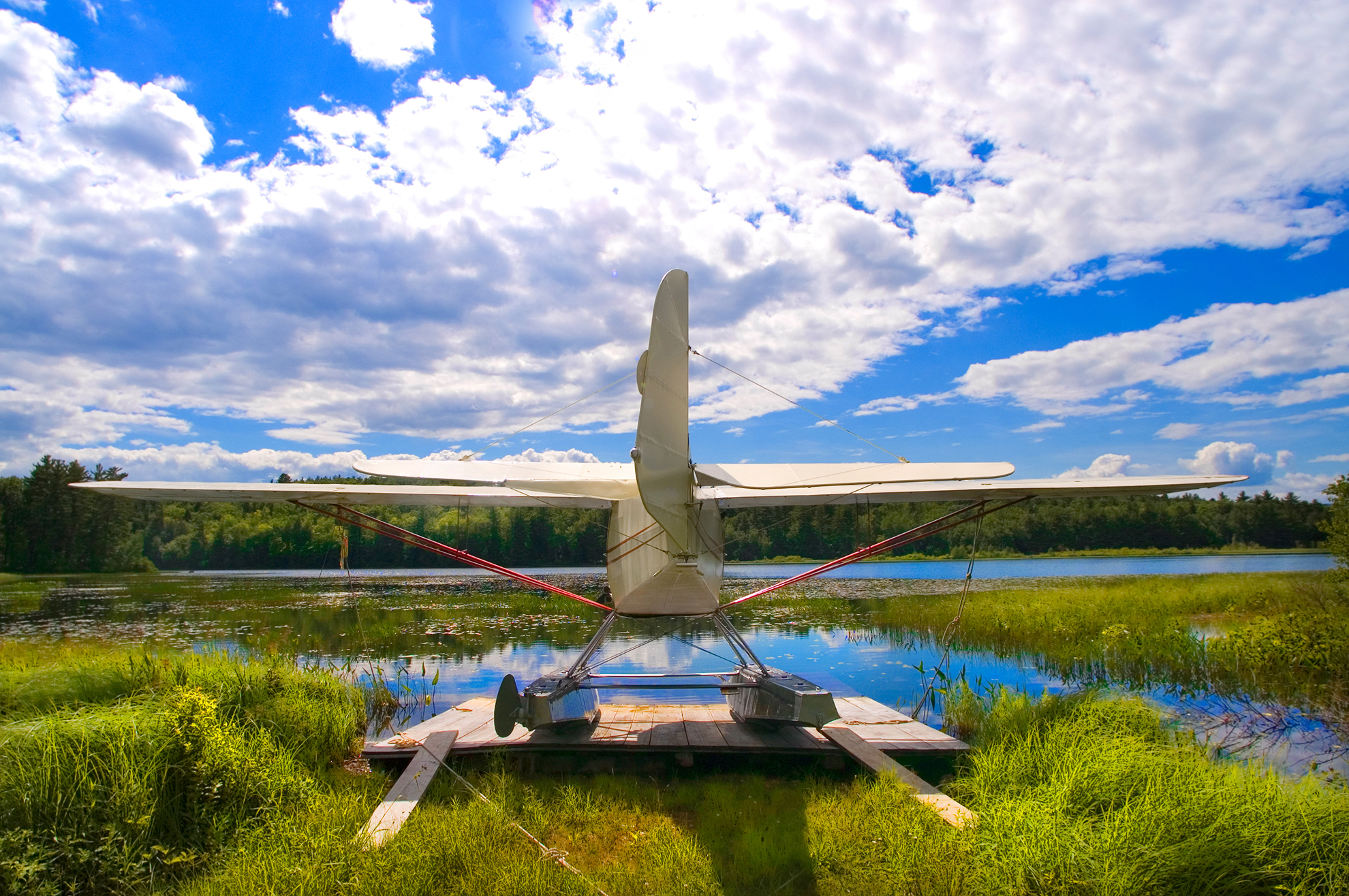 airplane perched on wooden platform surrounded by open marshy waters and plants