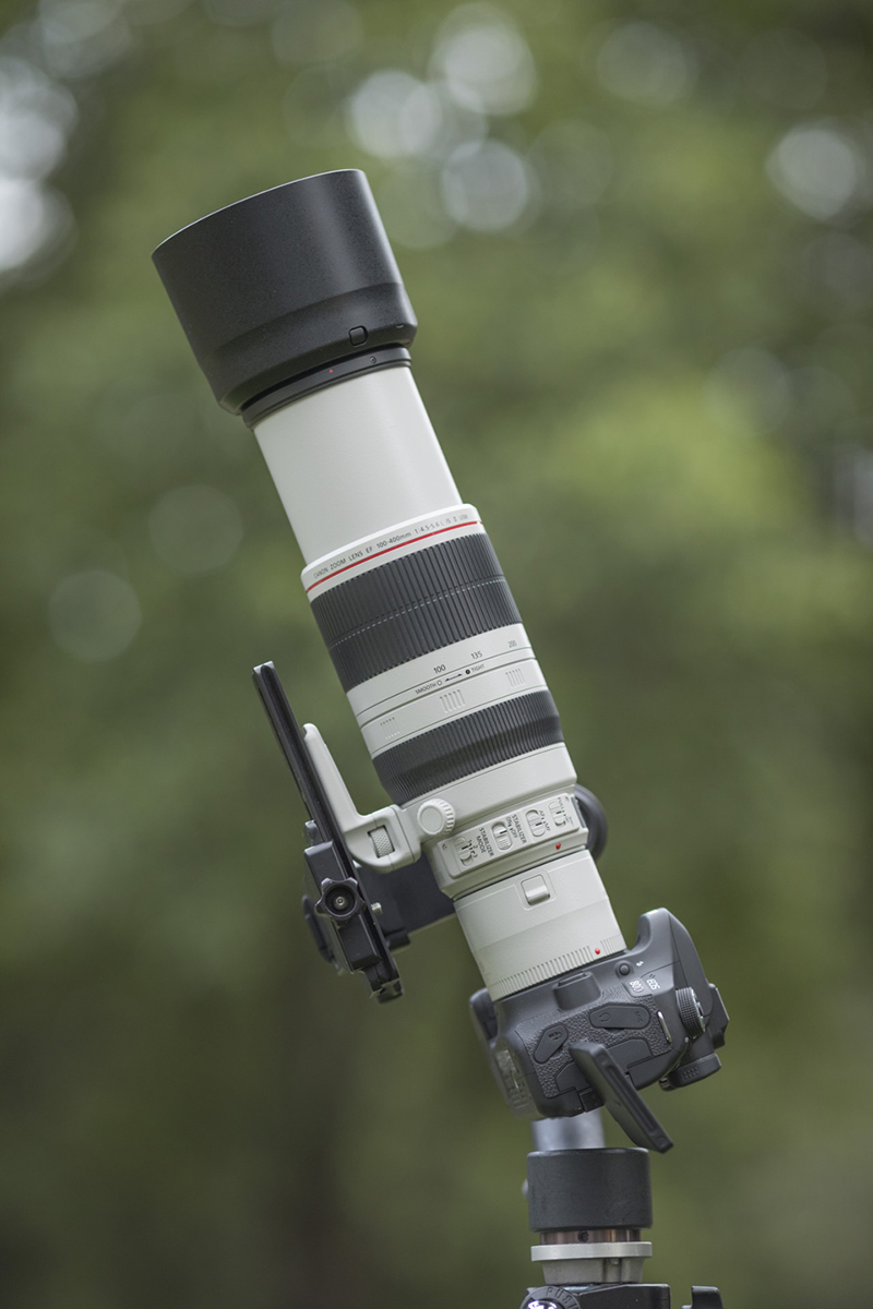 canon 100-400mm zoom lens