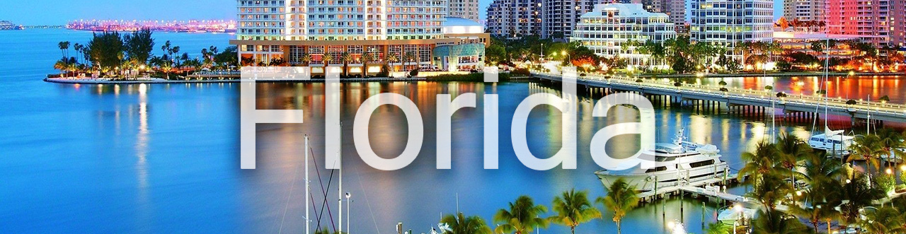 State of Florida Banner Image