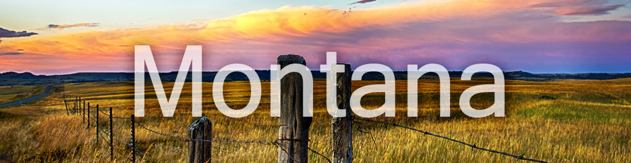 State of Montana Banner Image