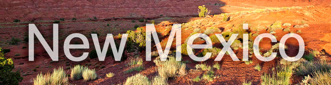 State of New Mexico Banner Image