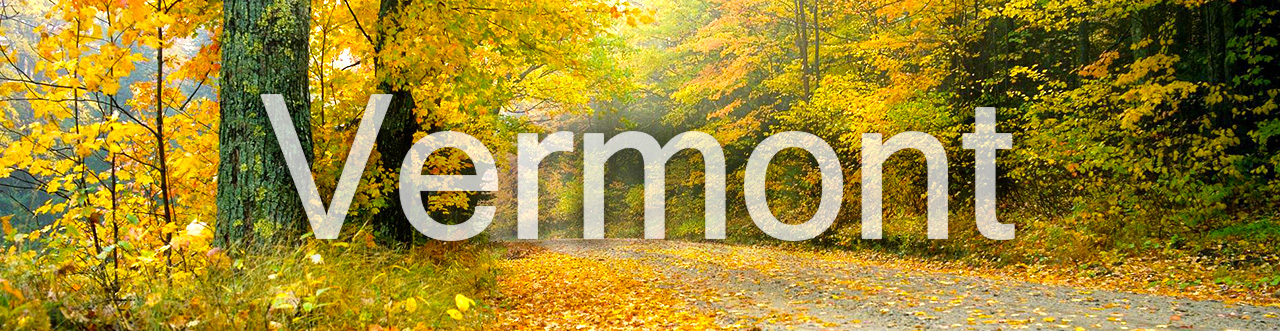 State of Vermont Banner Image