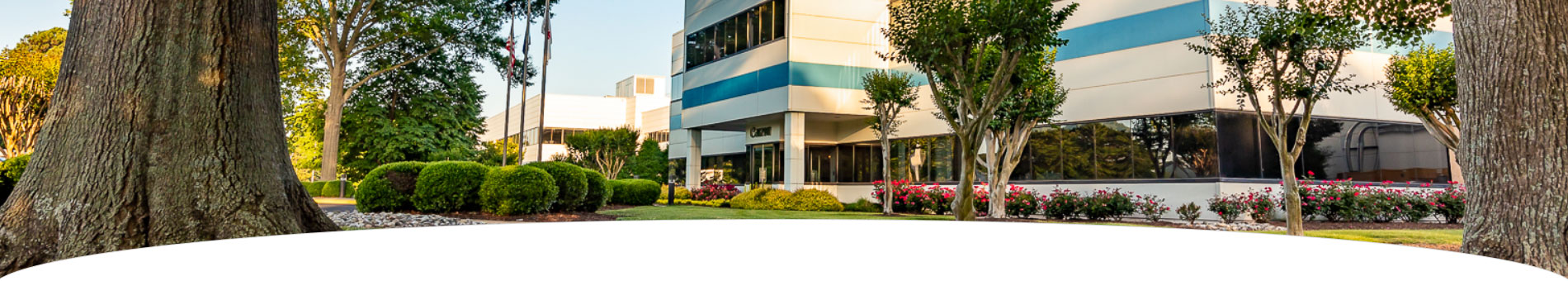 Image of a Canon office building near trees