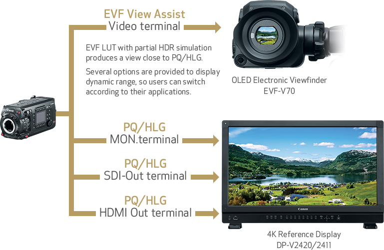 Canon U S A Inc Efficient And Seamless Workflow Eos C700 Series Canon Usa