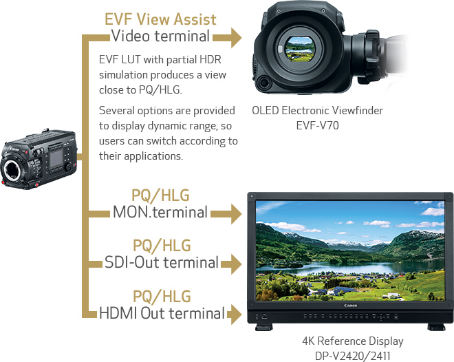 Canon U.S.A., Inc. | Efficient And Seamless Workflow | EOS C700 Series ...