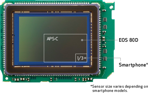Full-frame CMOS sensor
