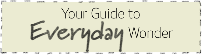 Your Guide to Everyday Wonder