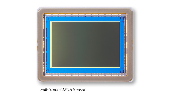 30.4 MP Full-Frame Sensor