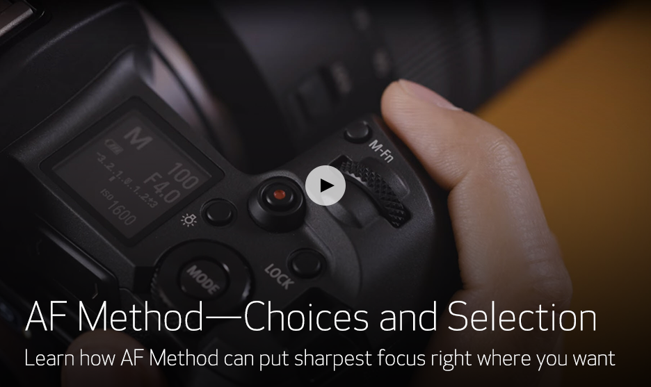 AF Method - Choices and Selection video thumbnail
