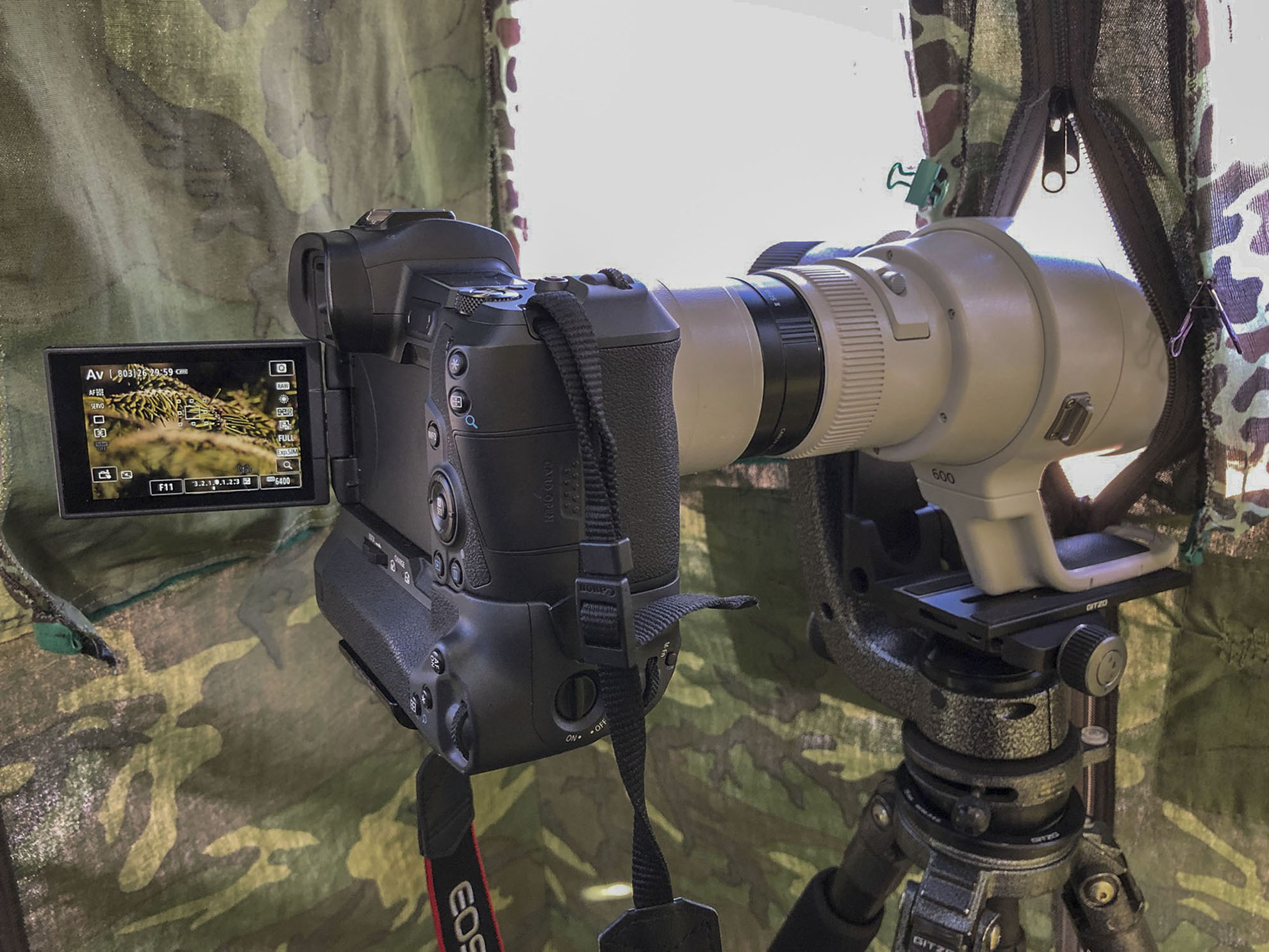 The Canon EOS R with the EF 600mm f/4L IS III USM, Extender EF 2x III, and an EF 25mm Extension Tube II
