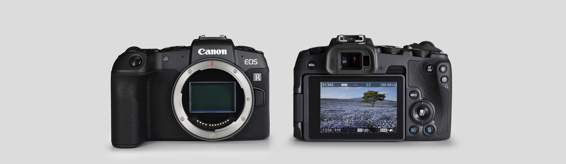 Canon RP product image of the camera body front and the camera body back showing the menu screen with an image of a field of violet flowers and a single green tree