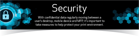 Security: Help Protect your Print Environment