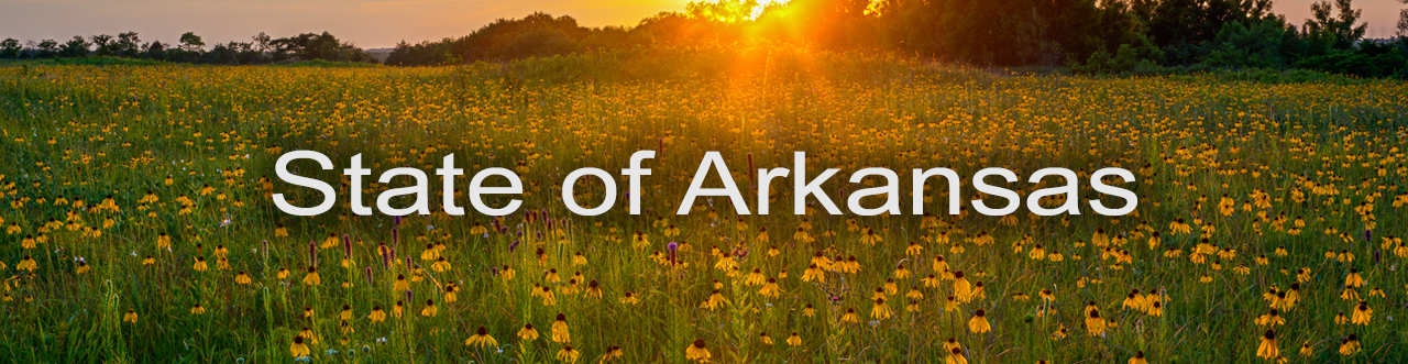 State of Arkansas Banner
