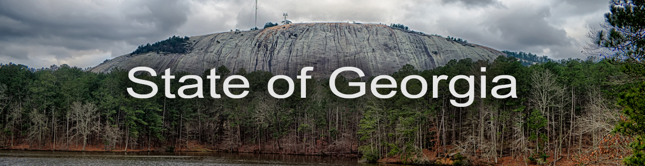 State of Georgia Banner