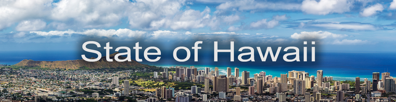 State of Hawaii Banner