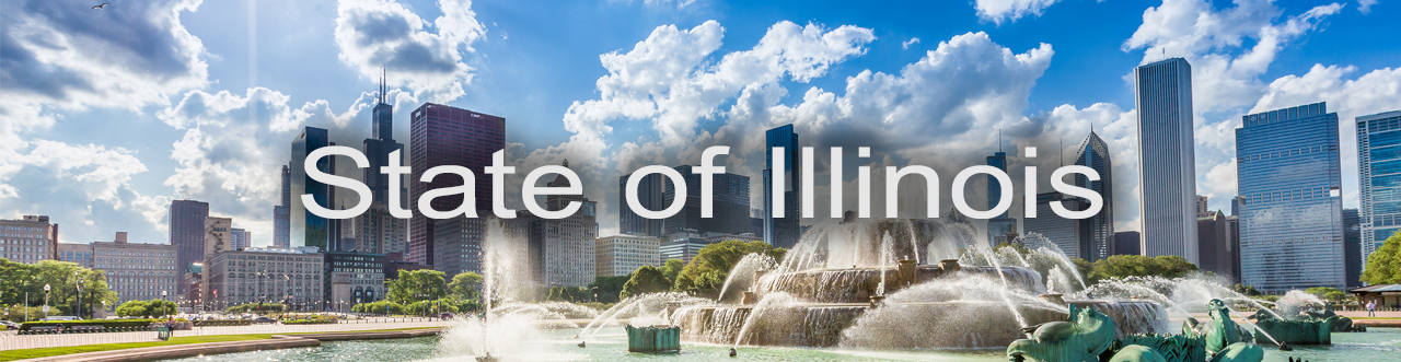 State of Illinois Banner