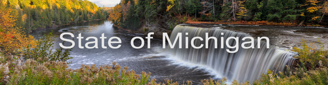 State of Michigan Banner