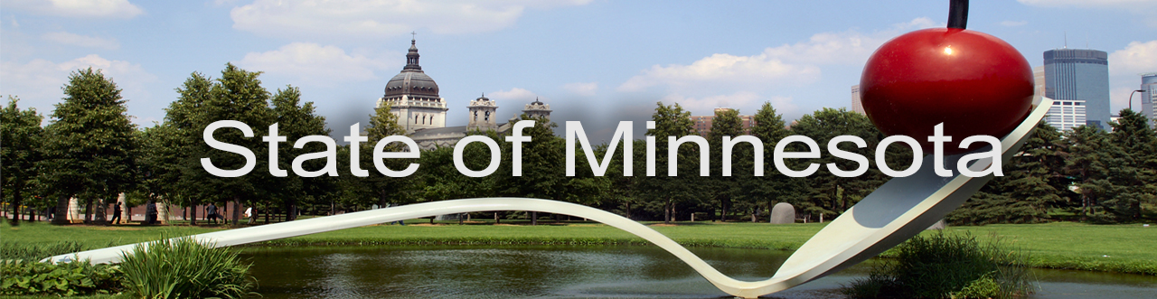 State of Minnesota Banner