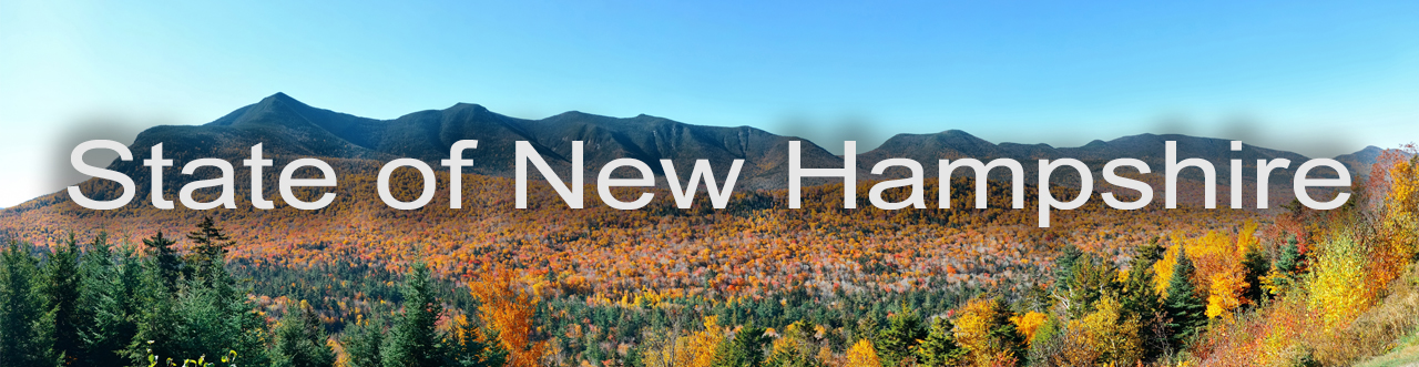 State of New Hampshire Banner