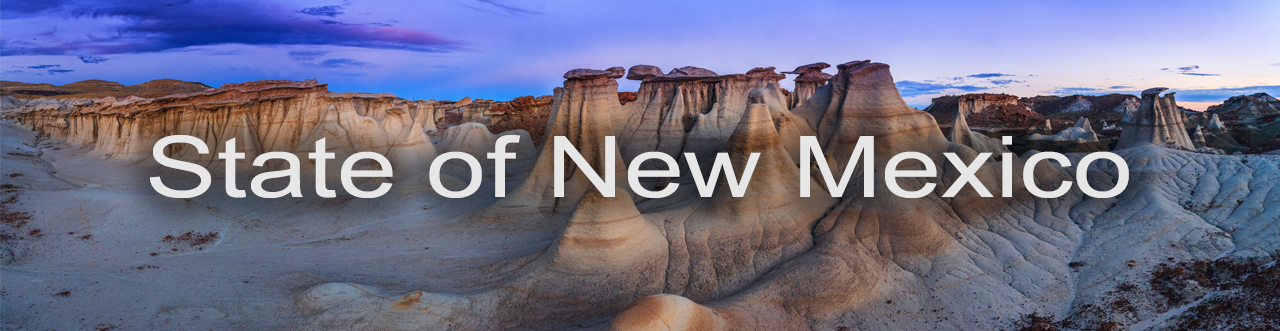 State of New Mexico Banner