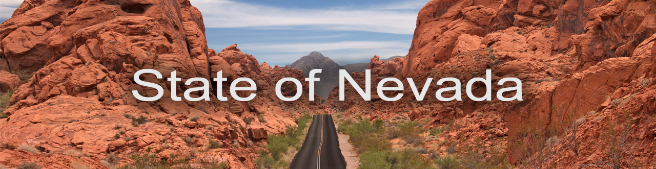State of Nevada Banner