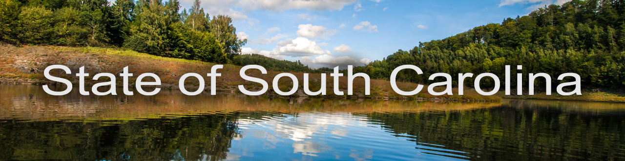 State of South Carolina Banner