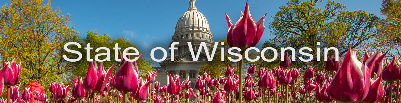 State of Wisconsin Banner