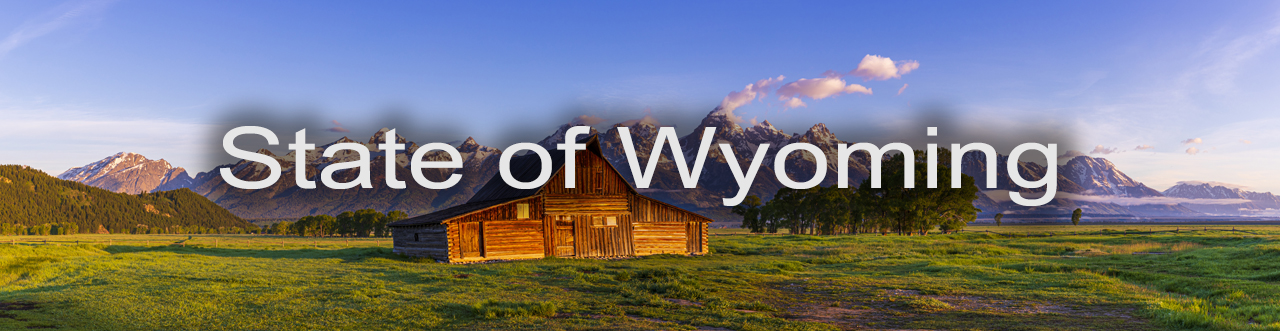 State of Wyoming Banner